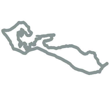 Speed icon